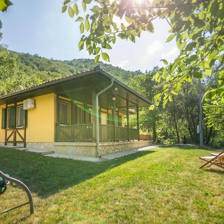 Vila Camelia Golubac Exterior photo